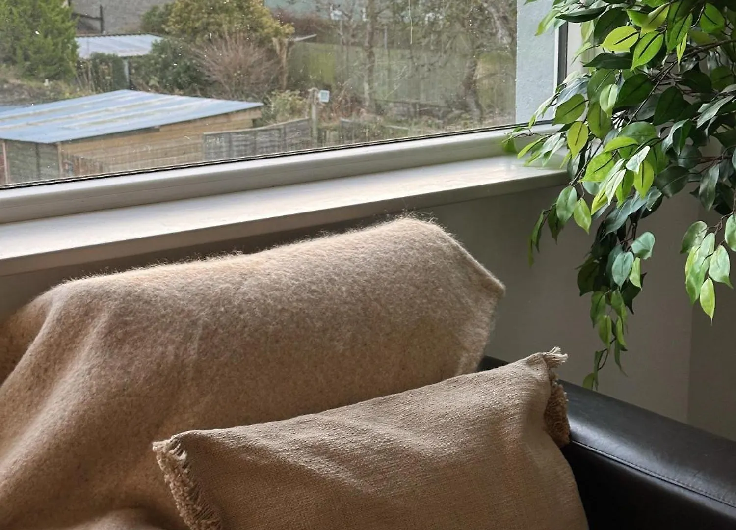 Iec Campus Apartman Cork Írország