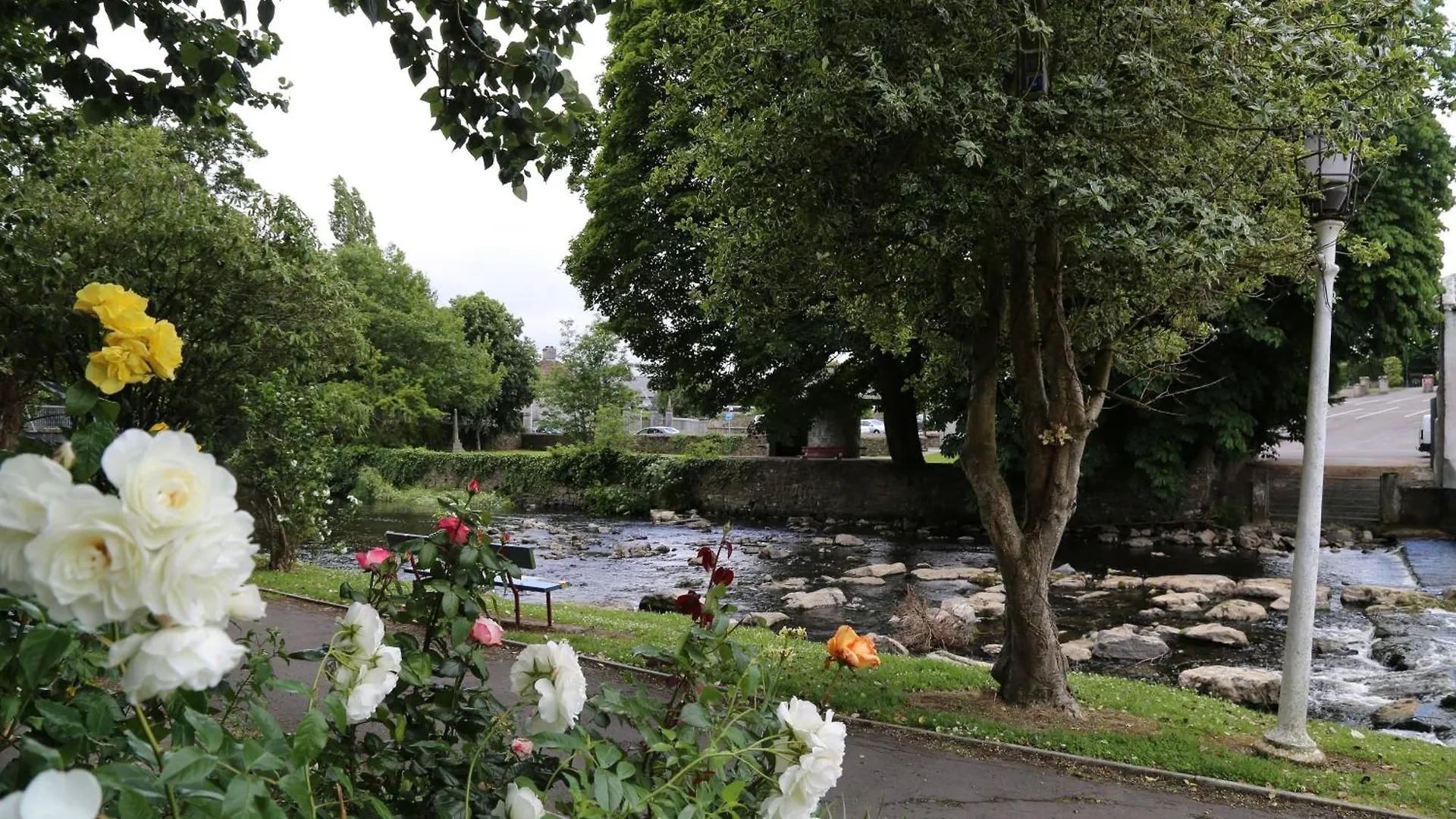 Iec Campus Daire Cork